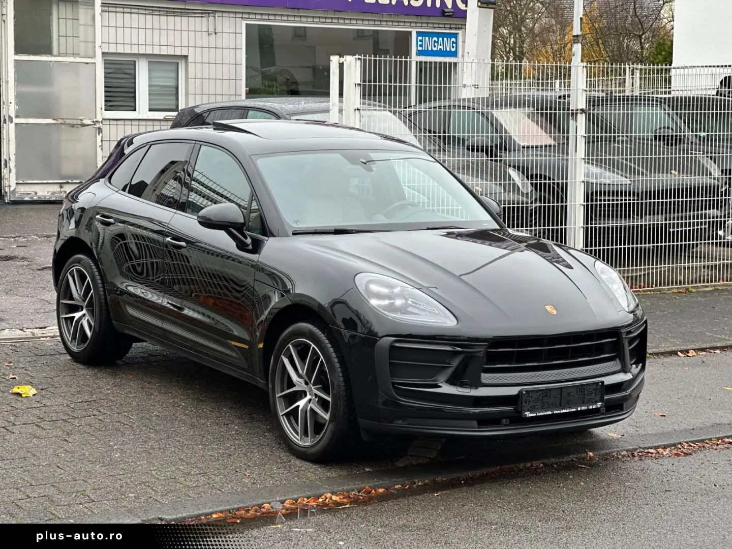 Macan Basis PANO LEDER 20-ZOLL S-ENDROHRE