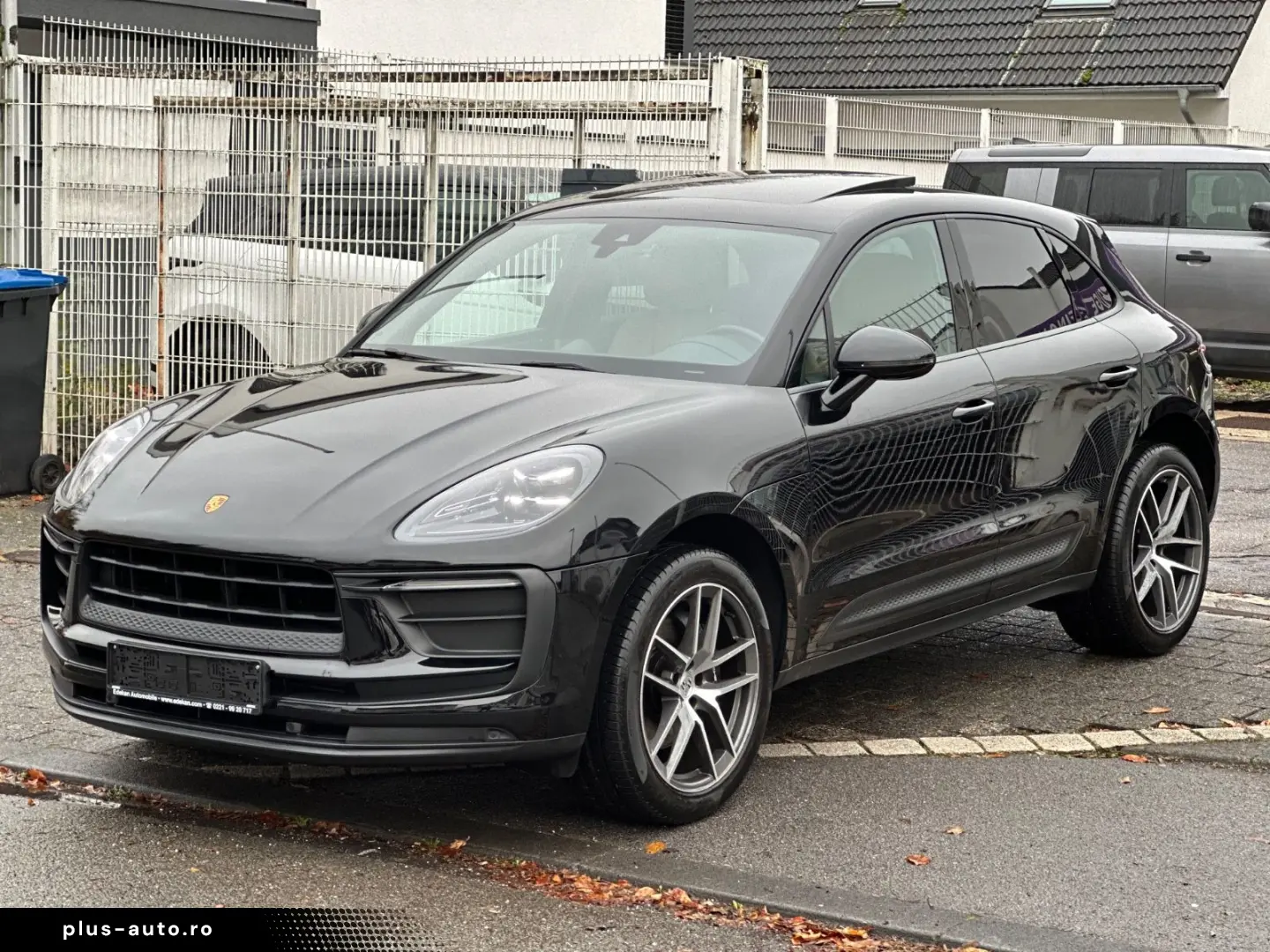 Macan Basis PANO LEDER 20-ZOLL S-ENDROHRE