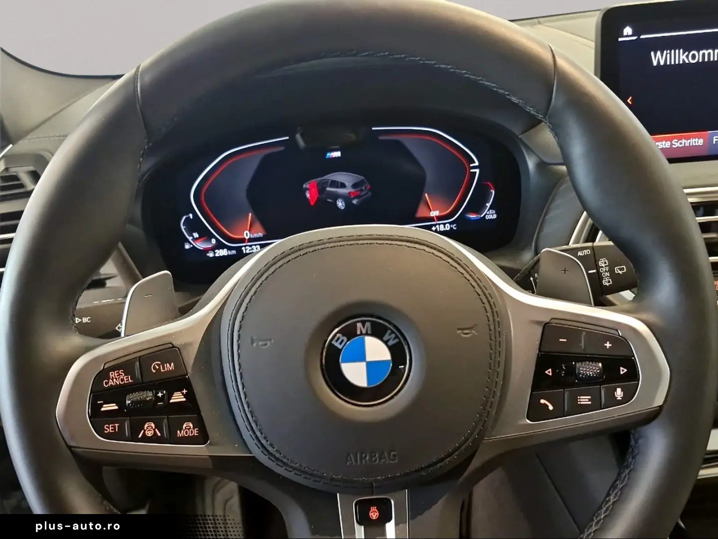 X3 xDrive30i M Sport Driv.Assist.Prof Harman K