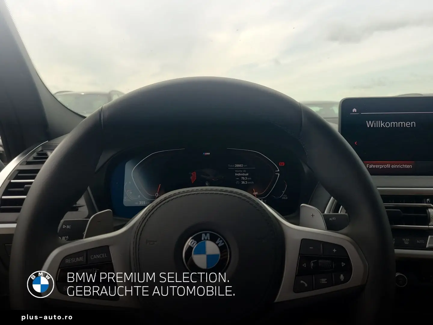 X4 xDrive 30 d M Sport HuD STHZ RFK AHK Panorama