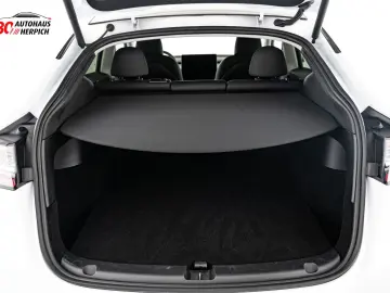 Model Y DUALMOTOR AWD AUTOPILOT HAGELSCHADEN