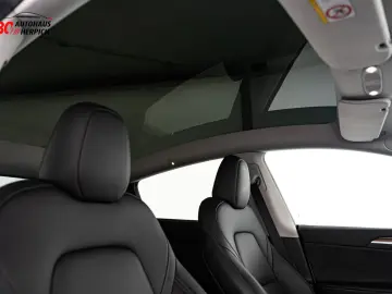 Model Y DUALMOTOR AWD AUTOPILOT HAGELSCHADEN
