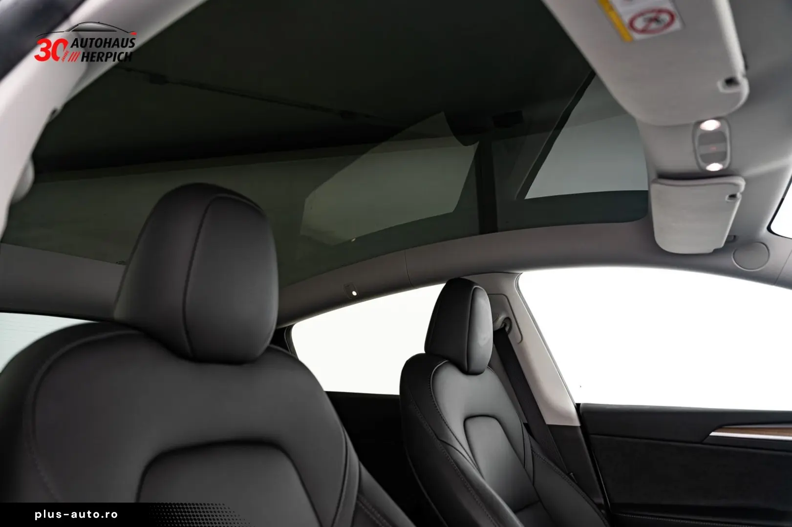 Model Y DUALMOTOR AWD AUTOPILOT HAGELSCHADEN