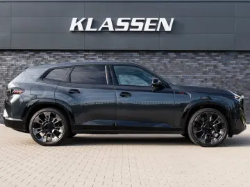 XM Label - DrivAssProf ParkAss