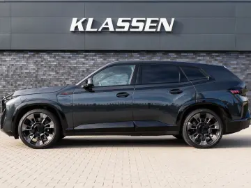 XM Label - DrivAssProf ParkAss