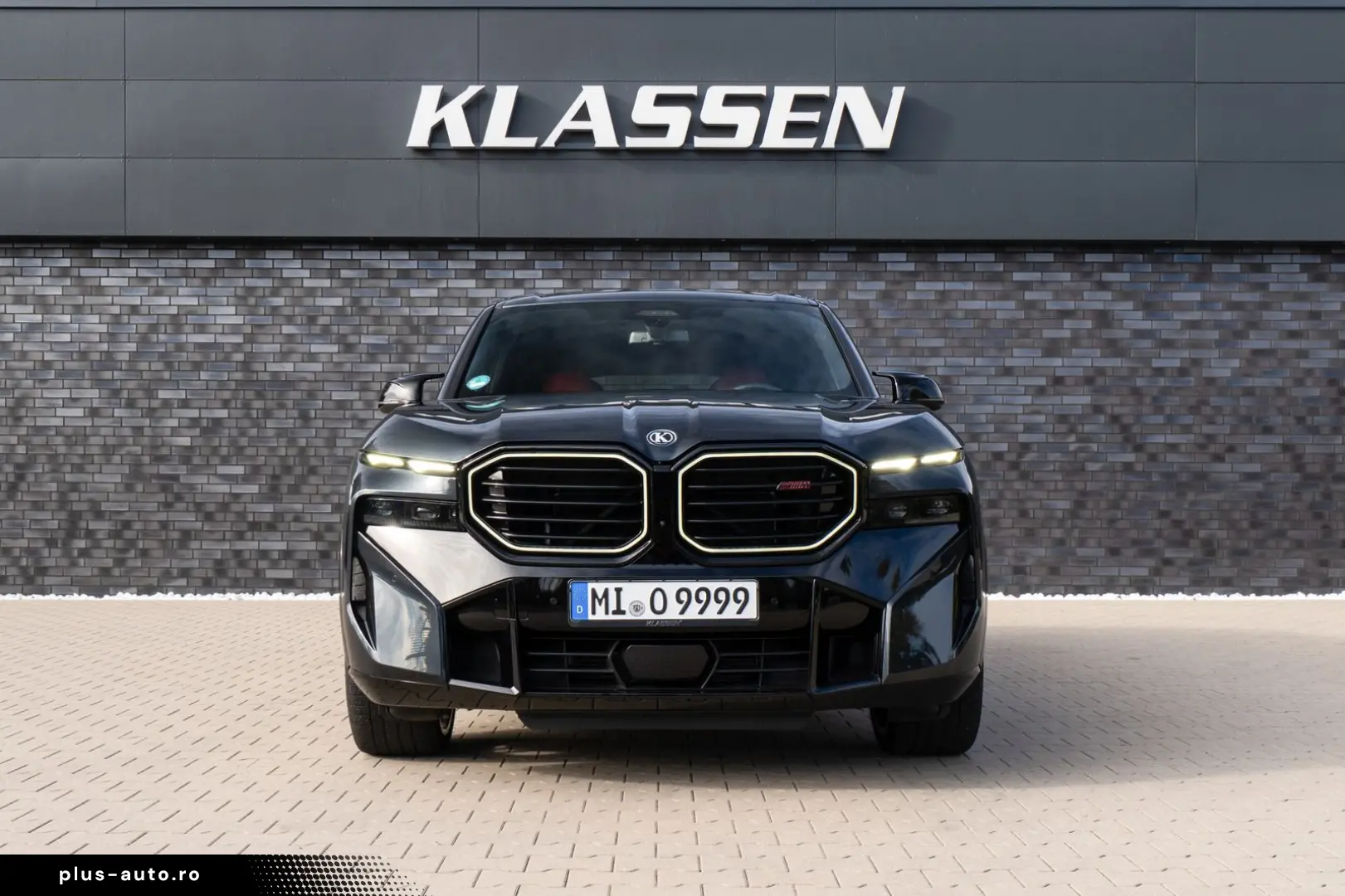 XM Label - DrivAssProf ParkAss