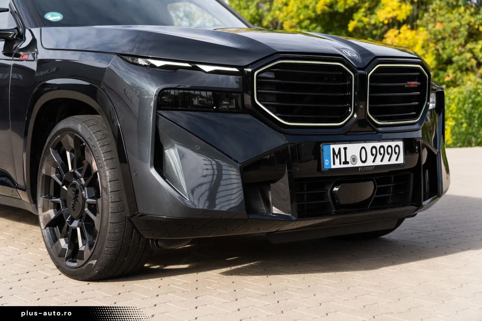 XM Label - DrivAssProf ParkAss