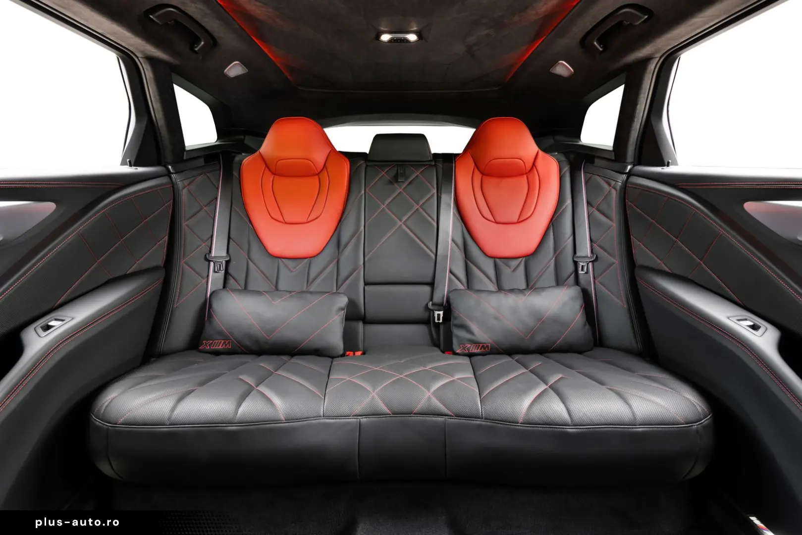 XM Label - DrivAssProf ParkAss