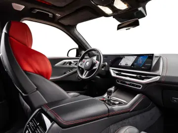 XM Label - DrivAssProf ParkAss