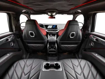 XM Label - DrivAssProf ParkAss