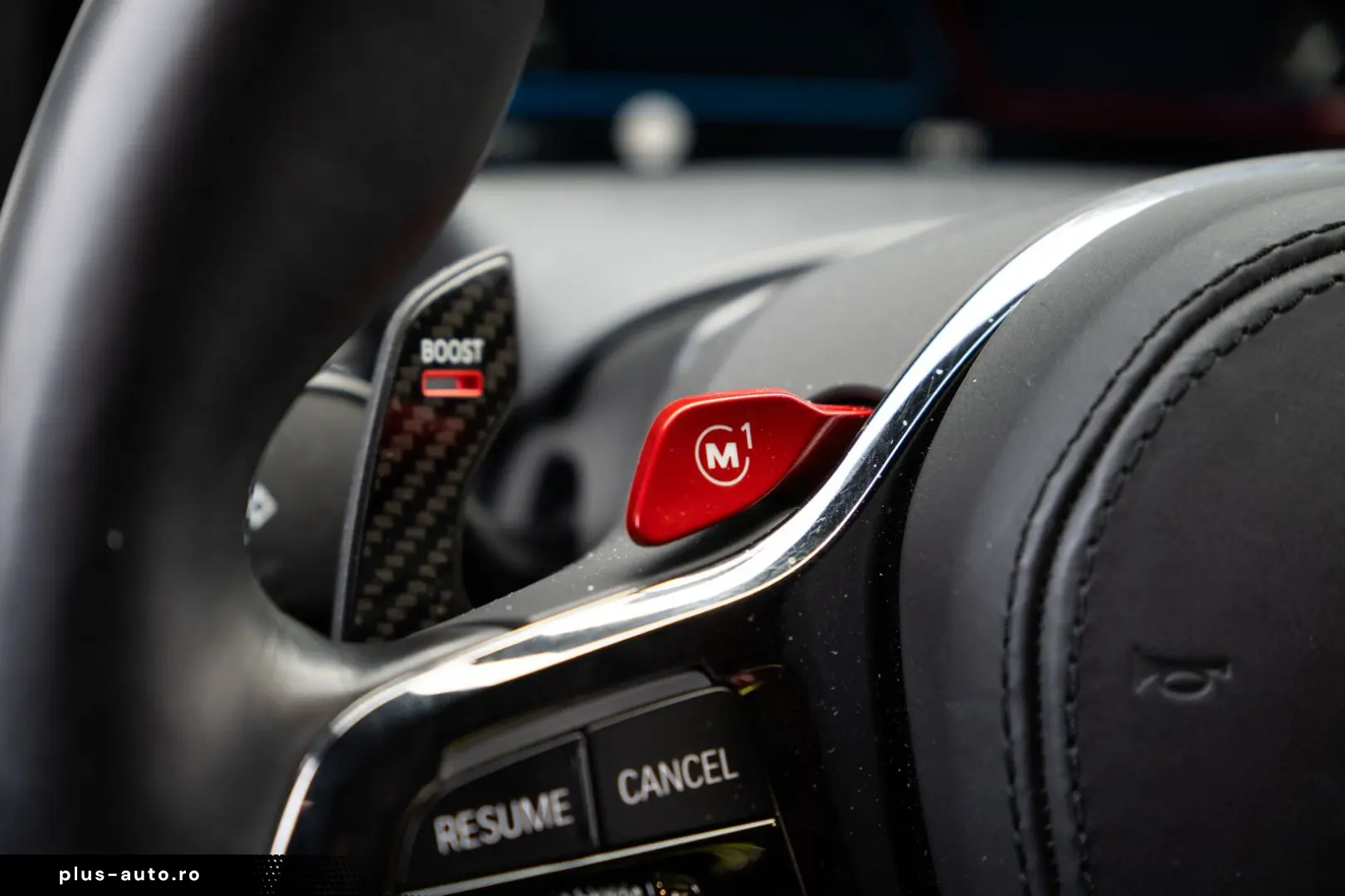 XM Label - DrivAssProf ParkAss