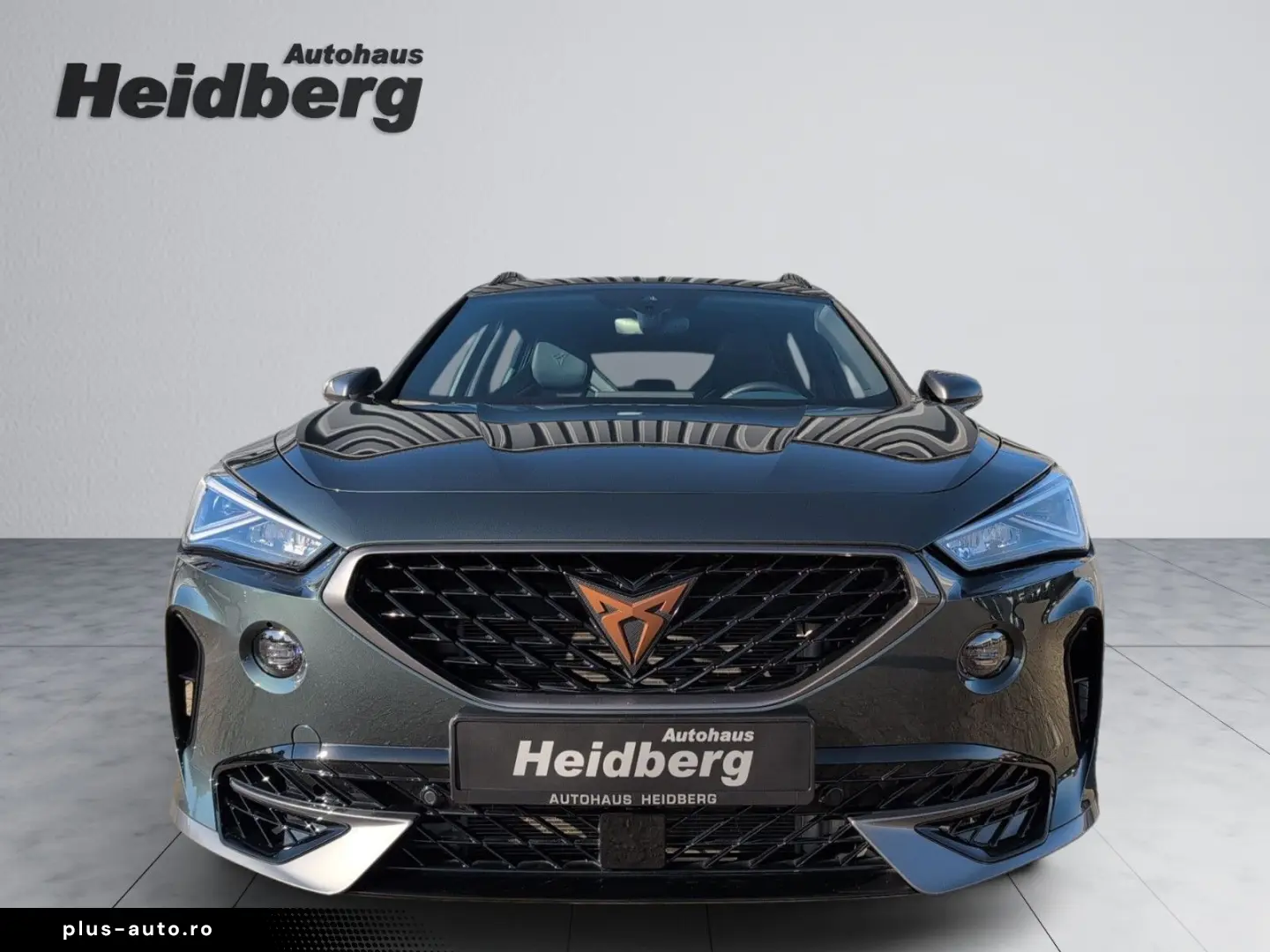 Formentor 2.0 TSI VZ AHK PANO LEDER CUP COPPER