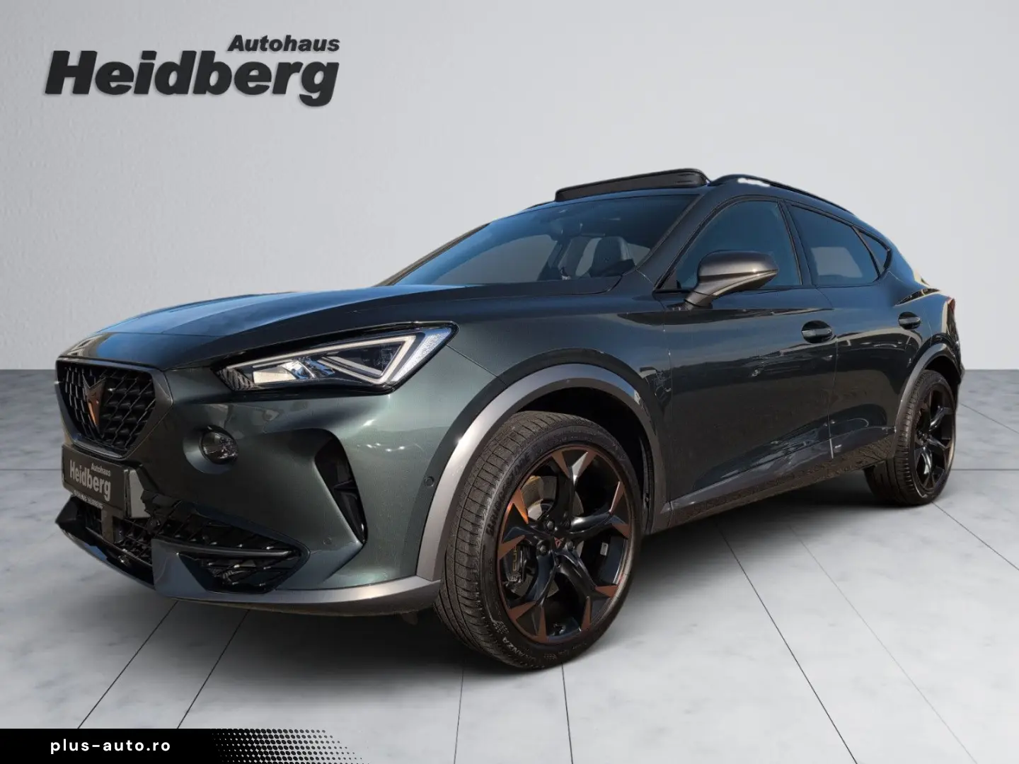 Formentor 2.0 TSI VZ AHK PANO LEDER CUP COPPER