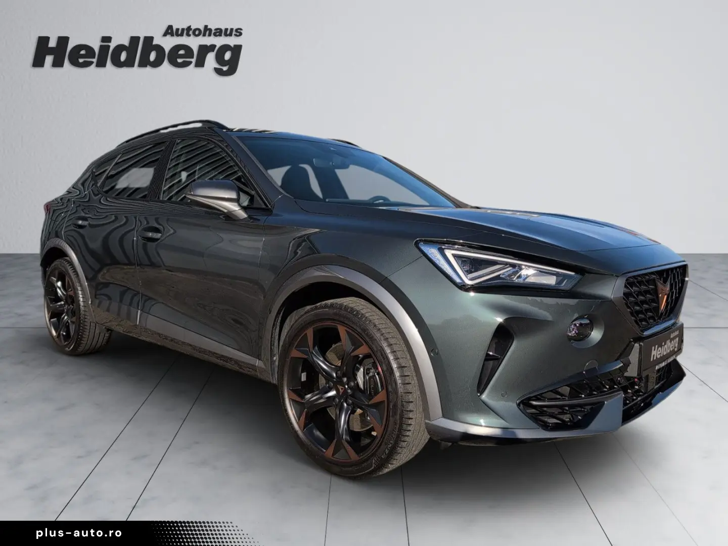 Formentor 2.0 TSI VZ AHK PANO LEDER CUP COPPER