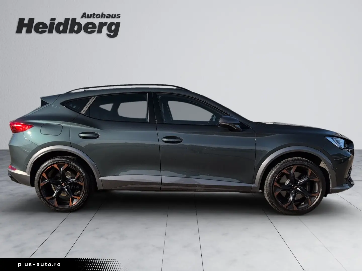 Formentor 2.0 TSI VZ AHK PANO LEDER CUP COPPER