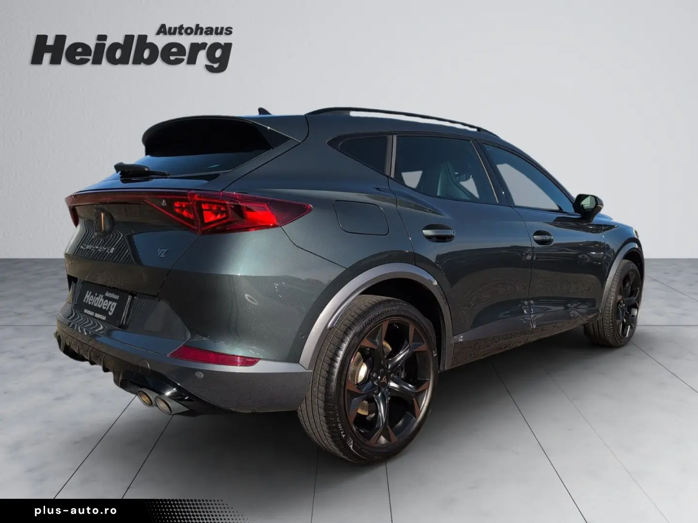 Formentor 2.0 TSI VZ AHK PANO LEDER CUP COPPER