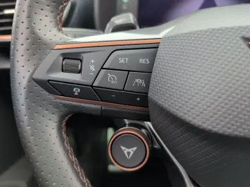 Formentor 2.0 TSI VZ AHK PANO LEDER CUP COPPER