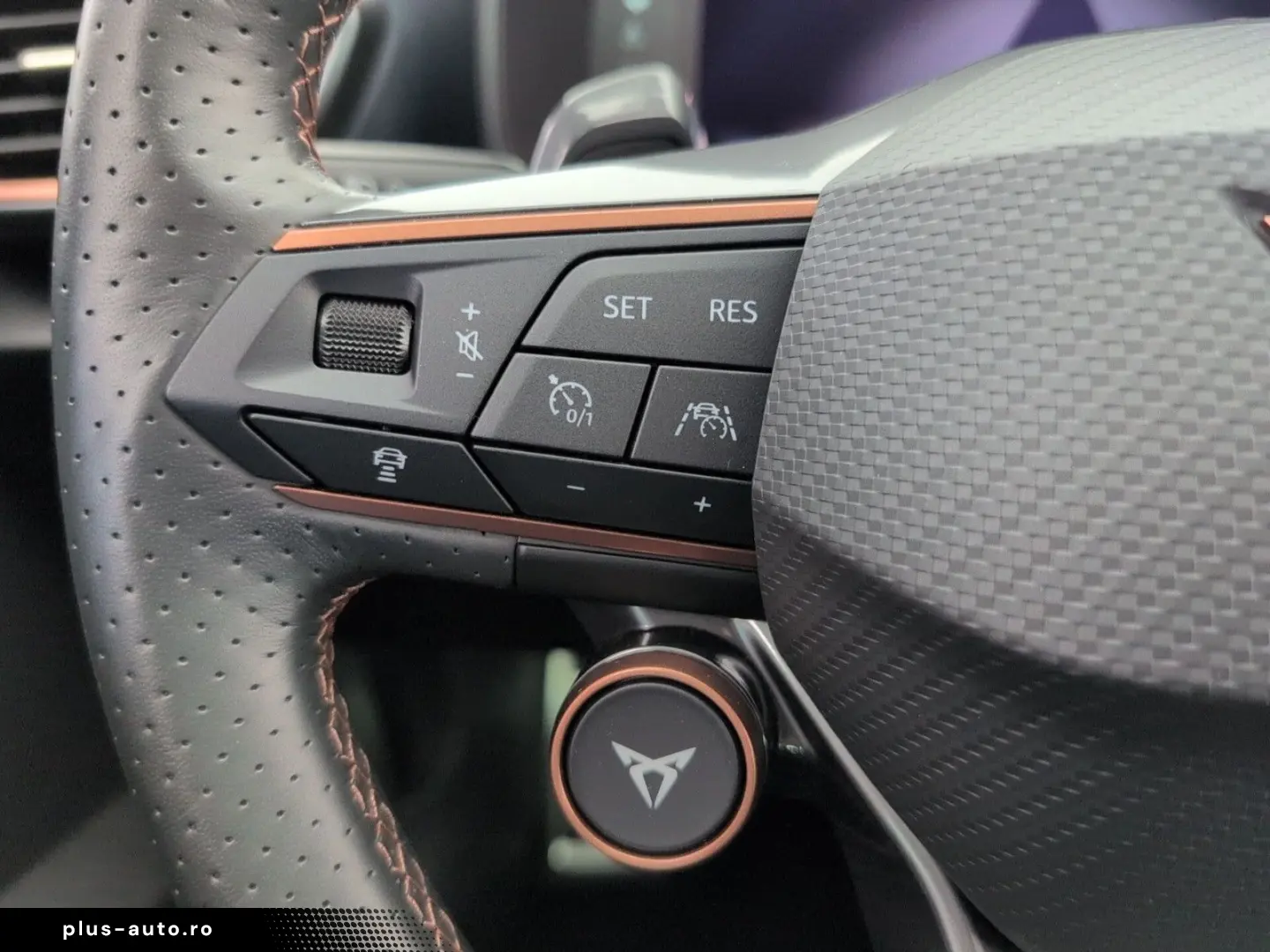 Formentor 2.0 TSI VZ AHK PANO LEDER CUP COPPER