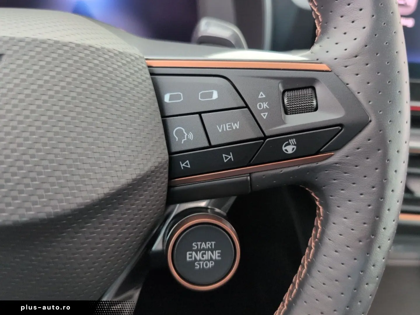 Formentor 2.0 TSI VZ AHK PANO LEDER CUP COPPER