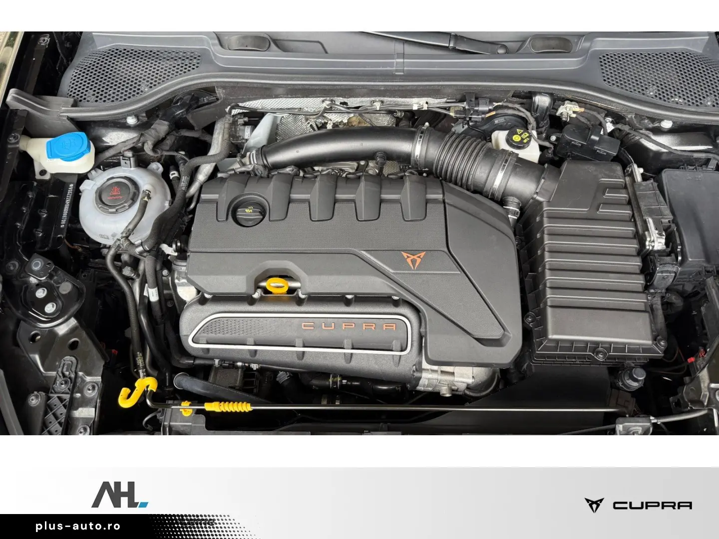 Formentor 2.5 TSI VZ5 4Drive DSG Matrix Navi Led