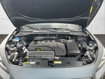 Formentor VZ5 4Drive 2.5 TSI Pano Navi Leder Kam