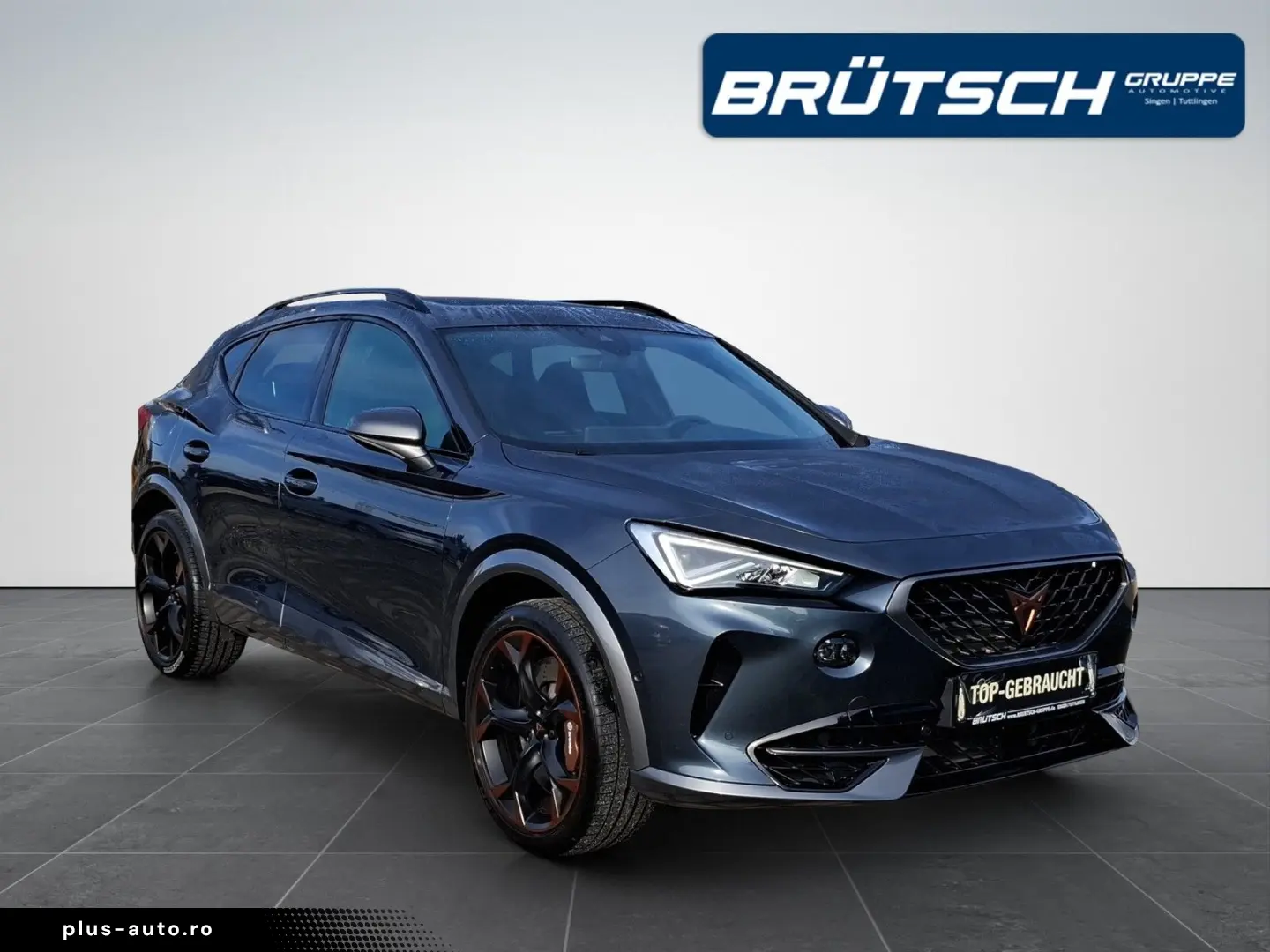 Formentor 2.0 TSI VZ 4Drive DSG   LEDER   AHK