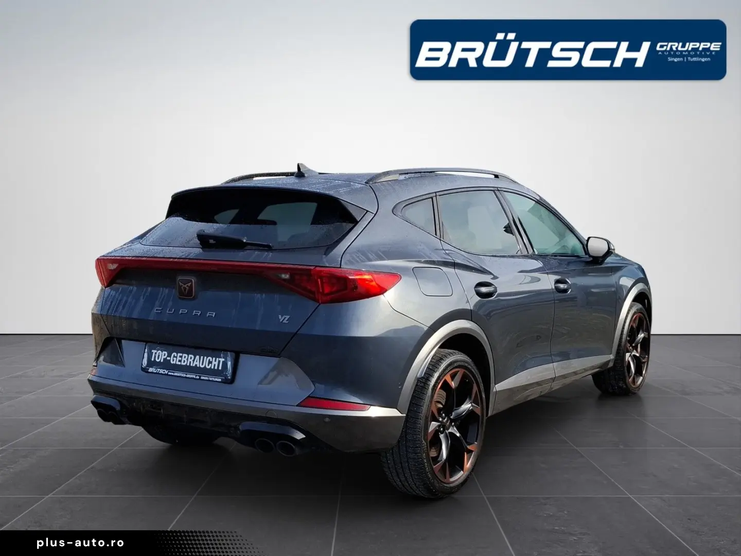 Formentor 2.0 TSI VZ 4Drive DSG   LEDER   AHK