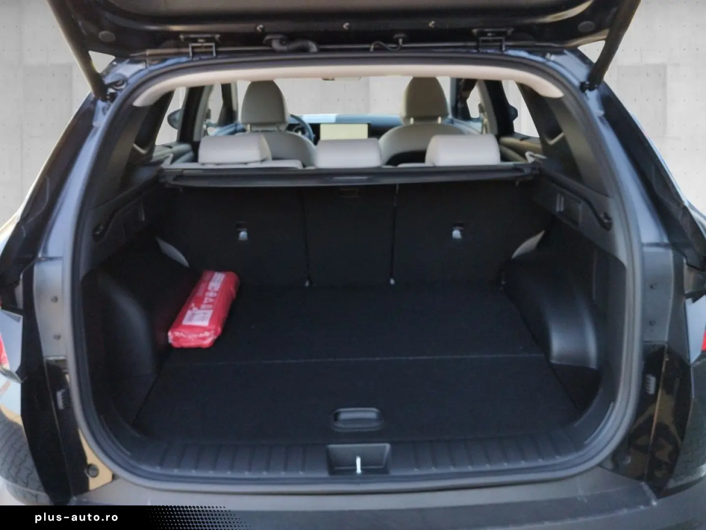 TUCSON FL 1.6 T-GDI Plug-in-Hybrid Prime Aut. 4W