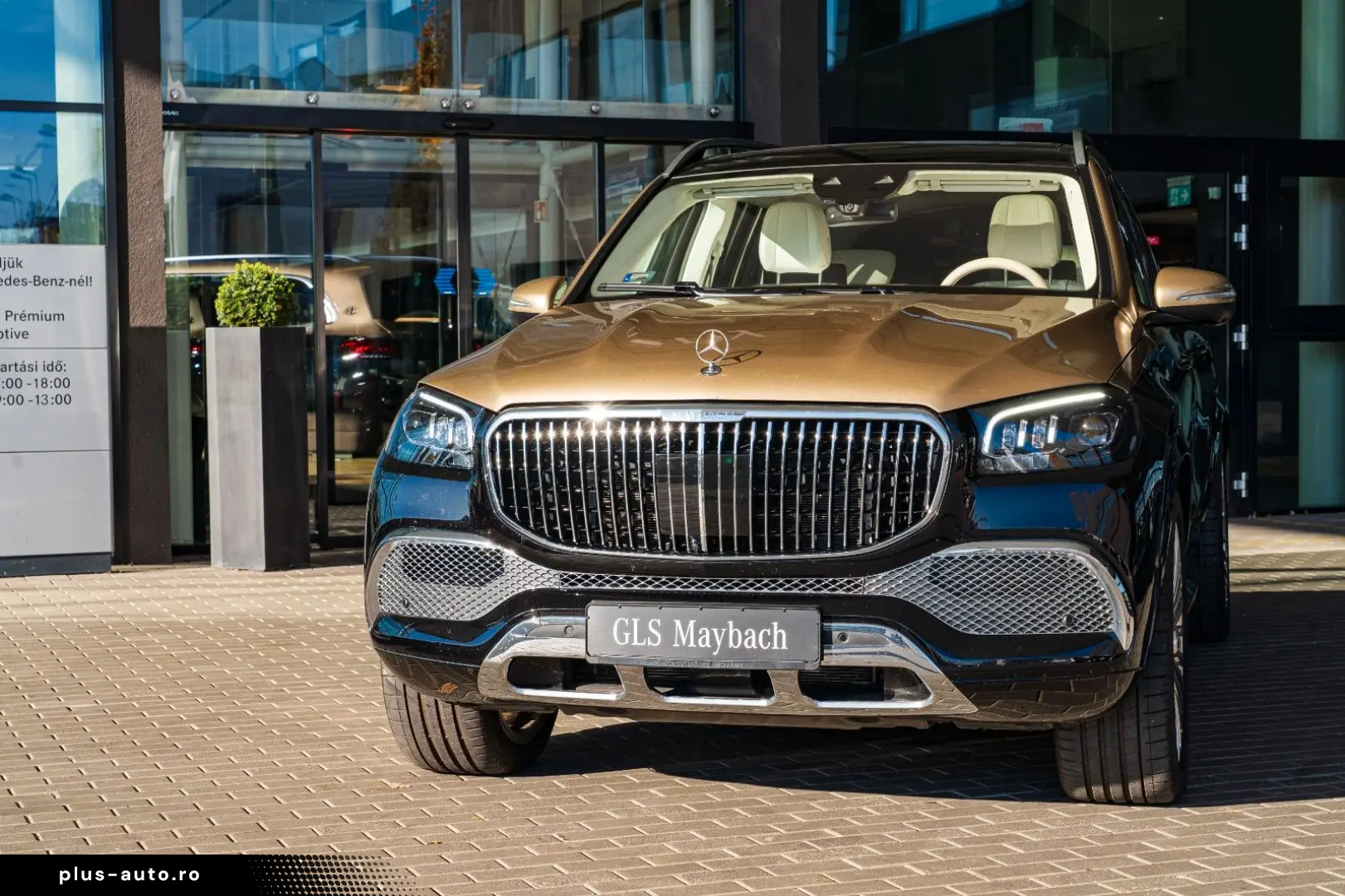 Mercedes-Benz GLS 600 Maybach 4Matic