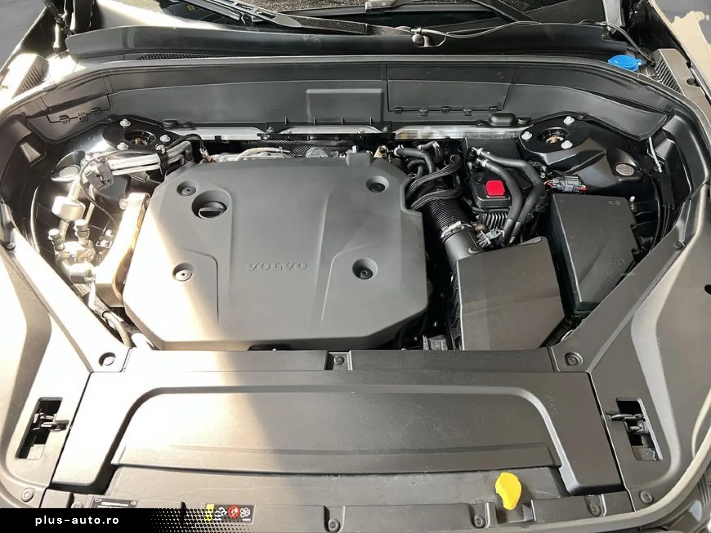 XC90 B5 AWD Plus-Bright 7S Glasd Standh 360  AHK