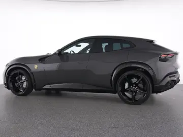 Purosangue FULL CARBON