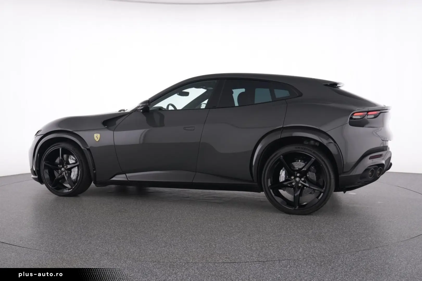 Purosangue FULL CARBON