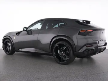 Purosangue FULL CARBON