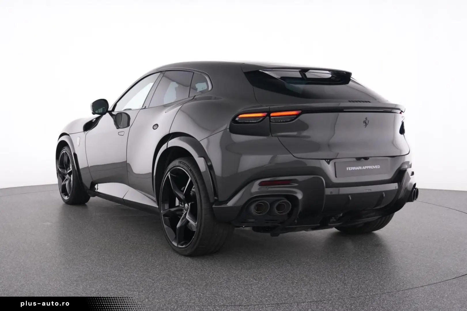 Purosangue FULL CARBON