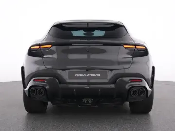 Purosangue FULL CARBON