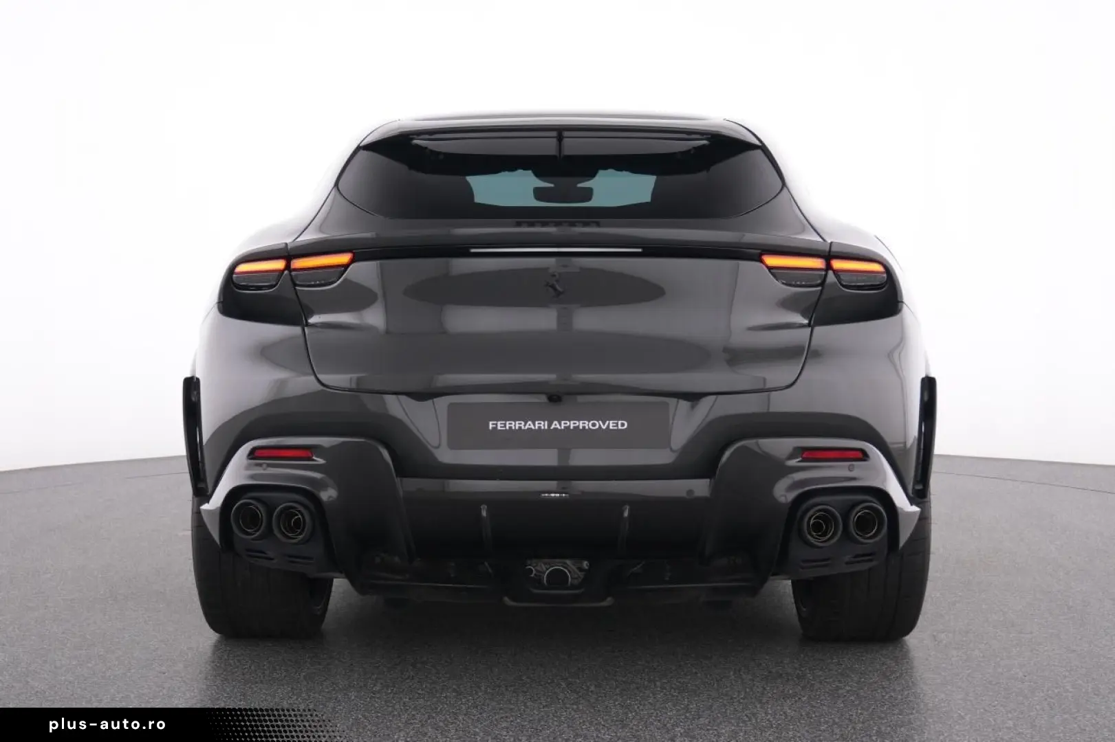 Purosangue FULL CARBON