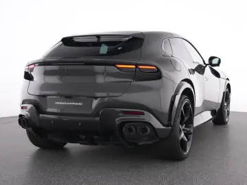 Purosangue FULL CARBON