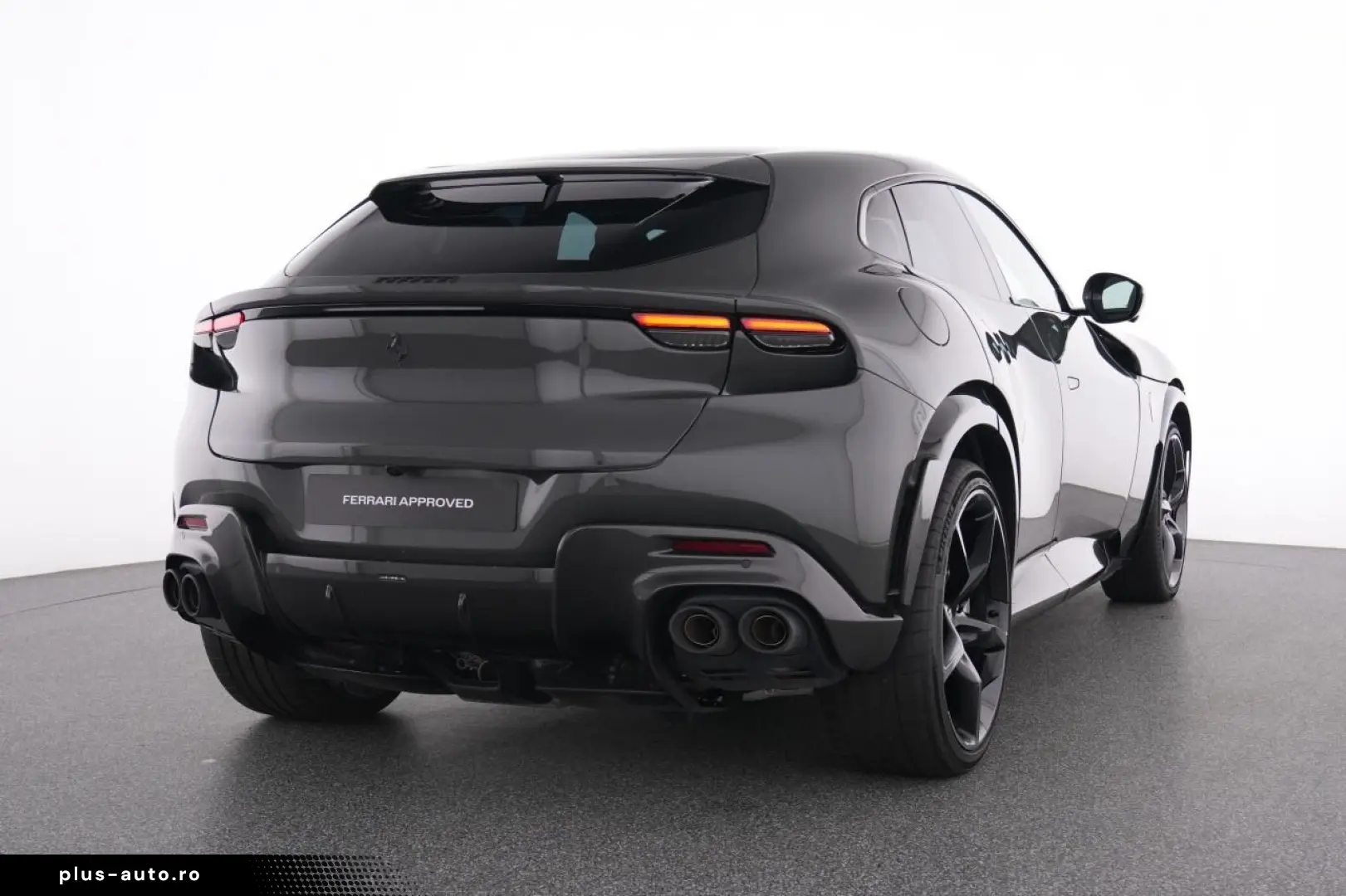 Purosangue FULL CARBON