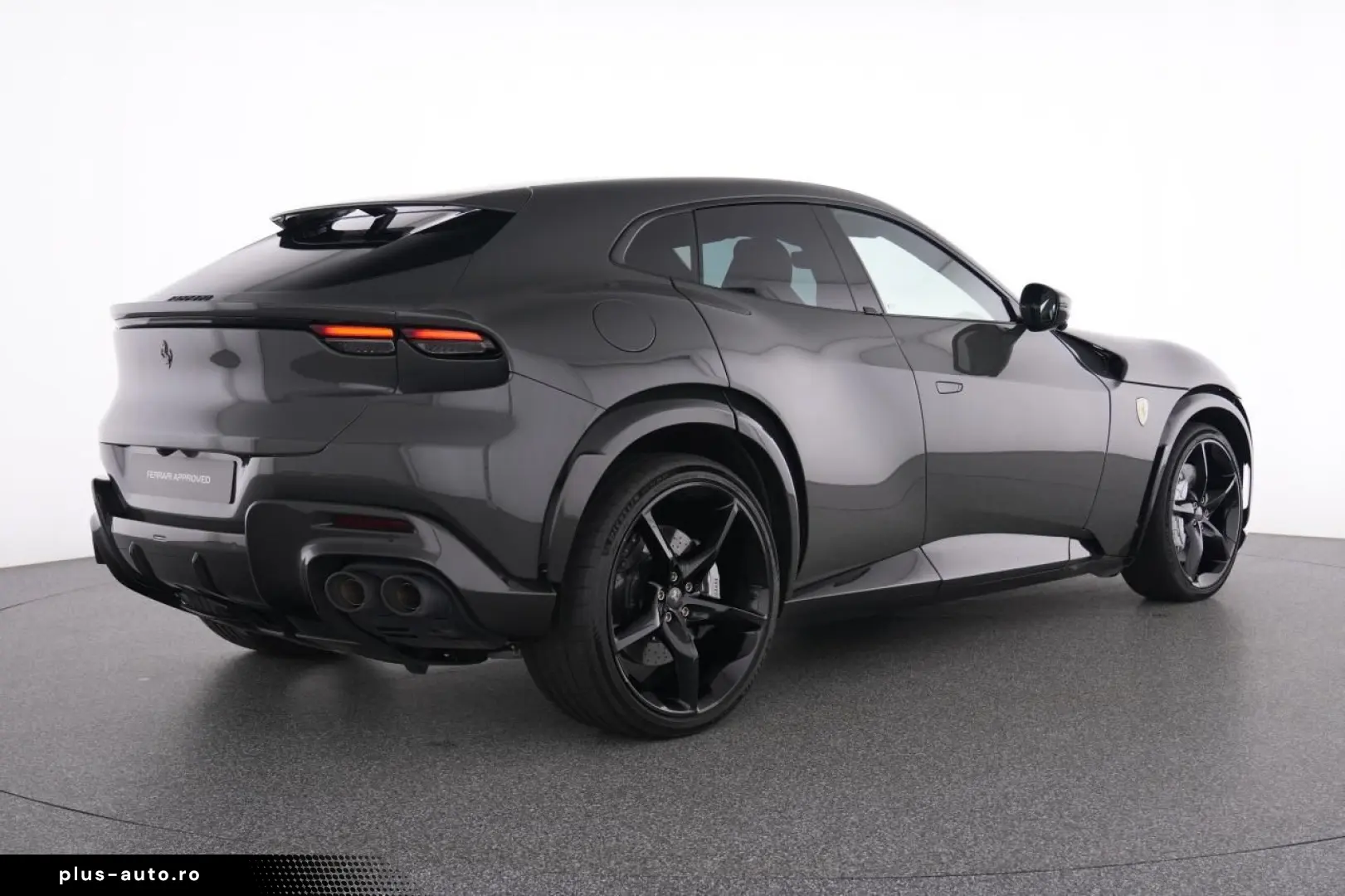 Purosangue FULL CARBON