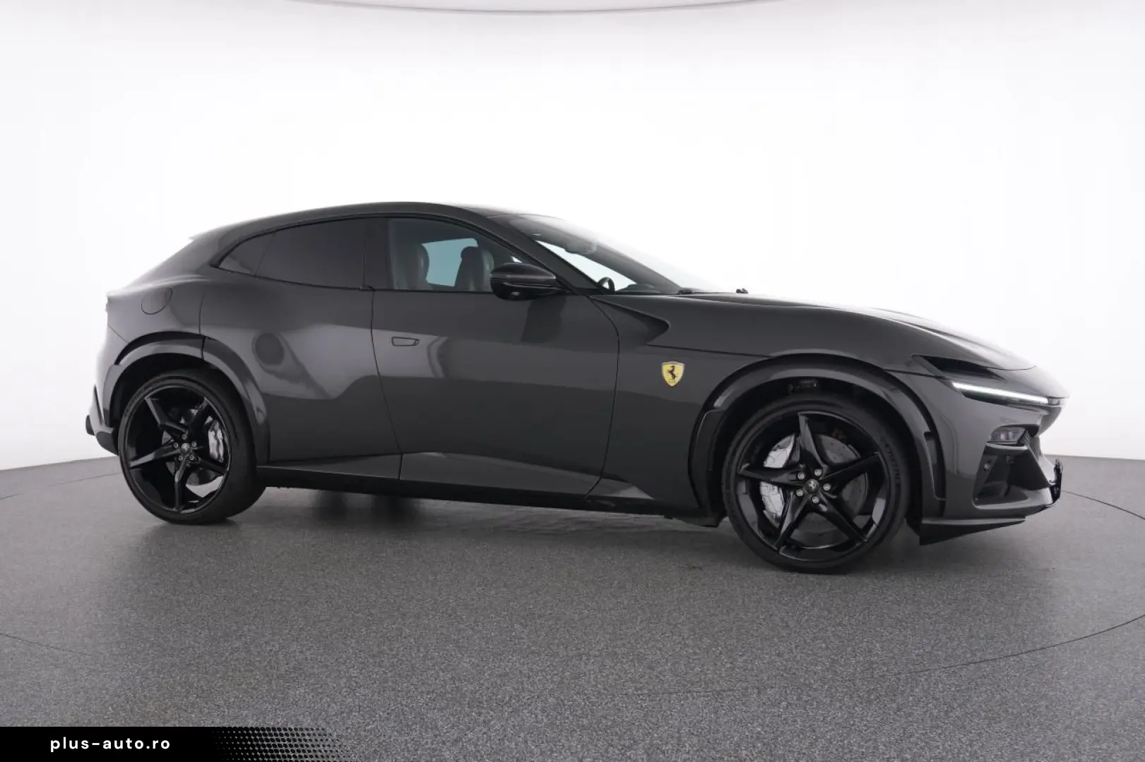 Purosangue FULL CARBON