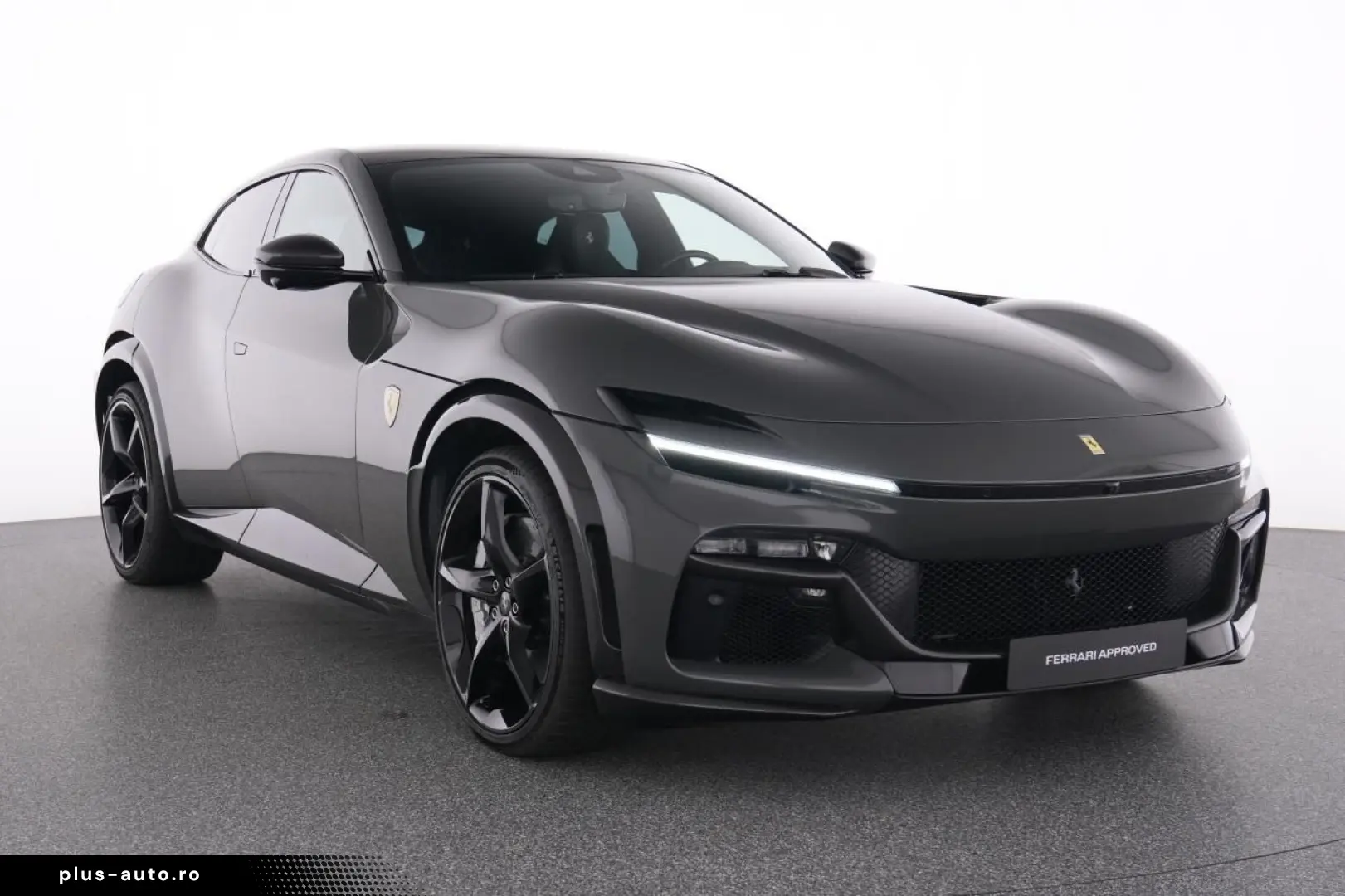 Purosangue FULL CARBON