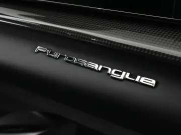 Purosangue FULL CARBON