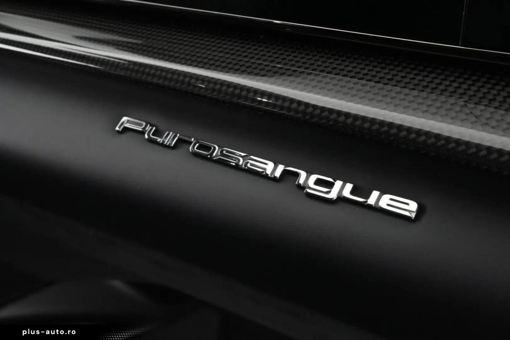 Purosangue FULL CARBON