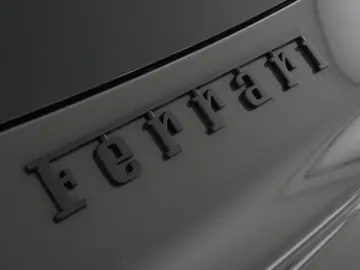 Purosangue FULL CARBON