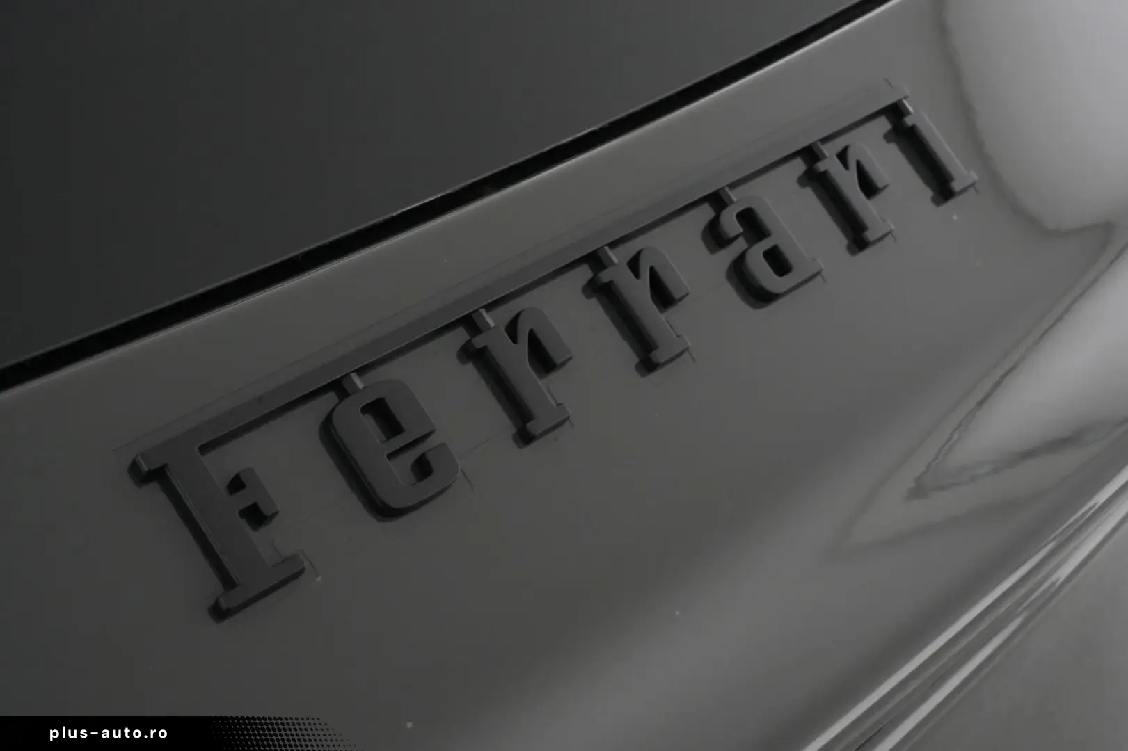 Purosangue FULL CARBON