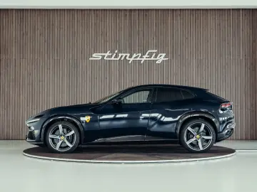 Purosangue  Blu Pozzi  Carbon