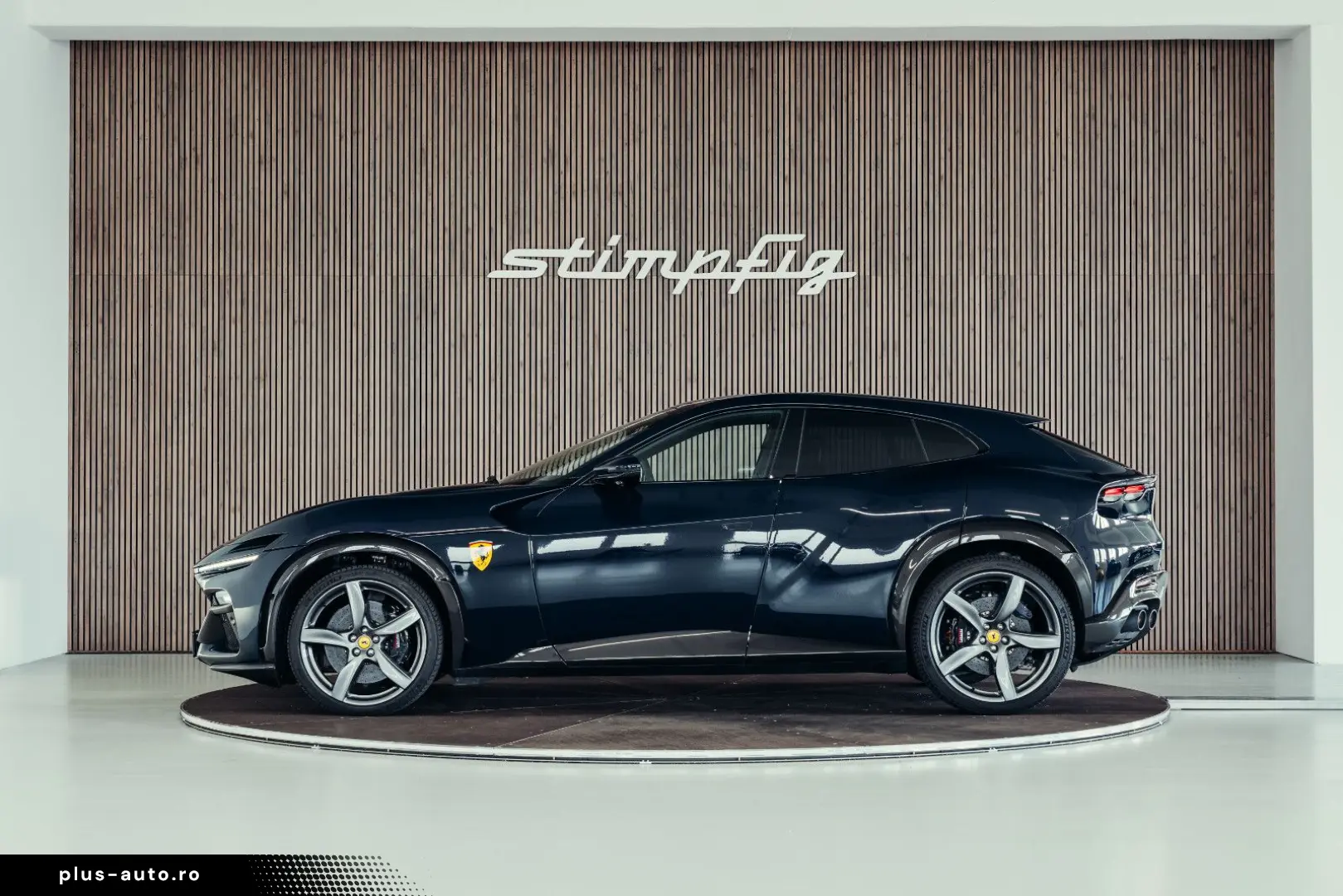 Purosangue  Blu Pozzi  Carbon