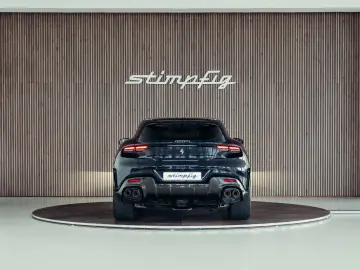 Purosangue  Blu Pozzi  Carbon