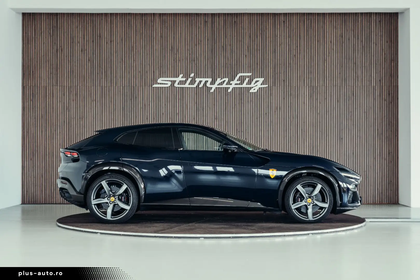 Purosangue  Blu Pozzi  Carbon