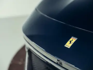 Purosangue  Blu Pozzi  Carbon